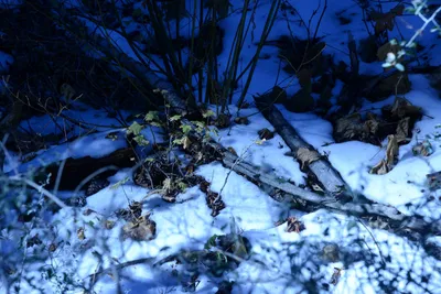 DSC_5049 (Large).JPG